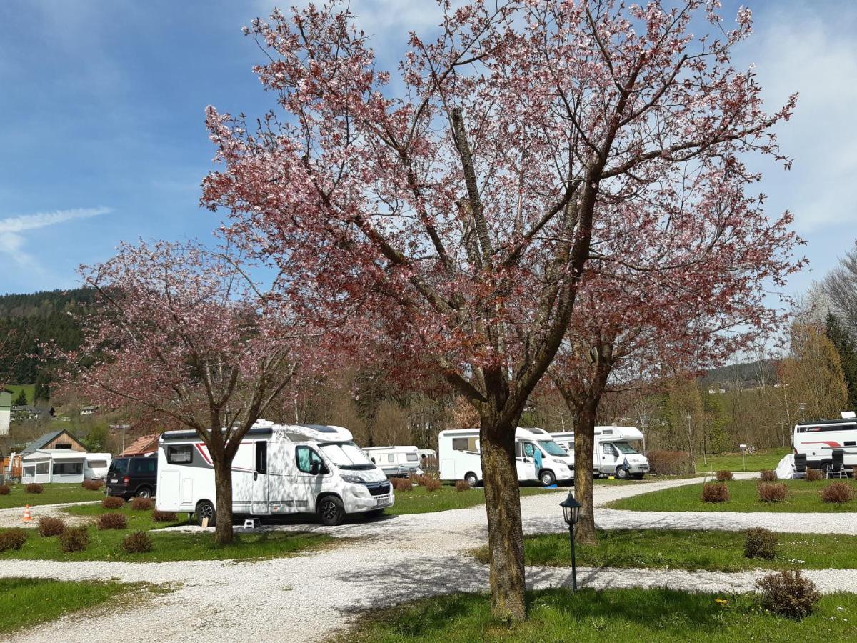 Campingfass Almtal Scharnstein Екстериор снимка