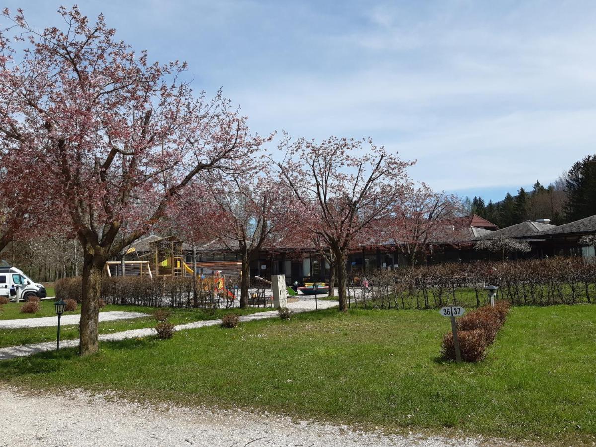 Campingfass Almtal Scharnstein Екстериор снимка