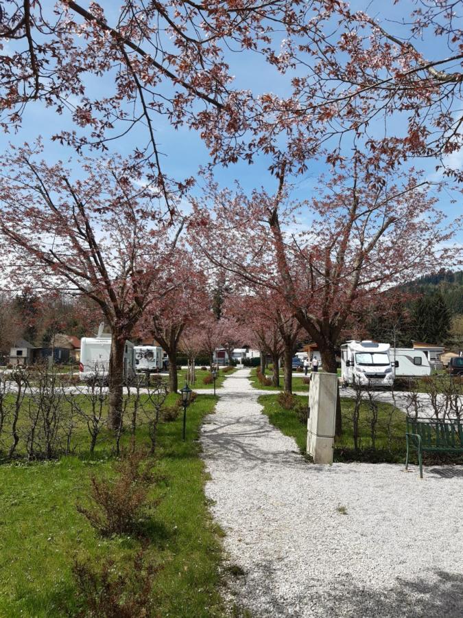 Campingfass Almtal Scharnstein Екстериор снимка